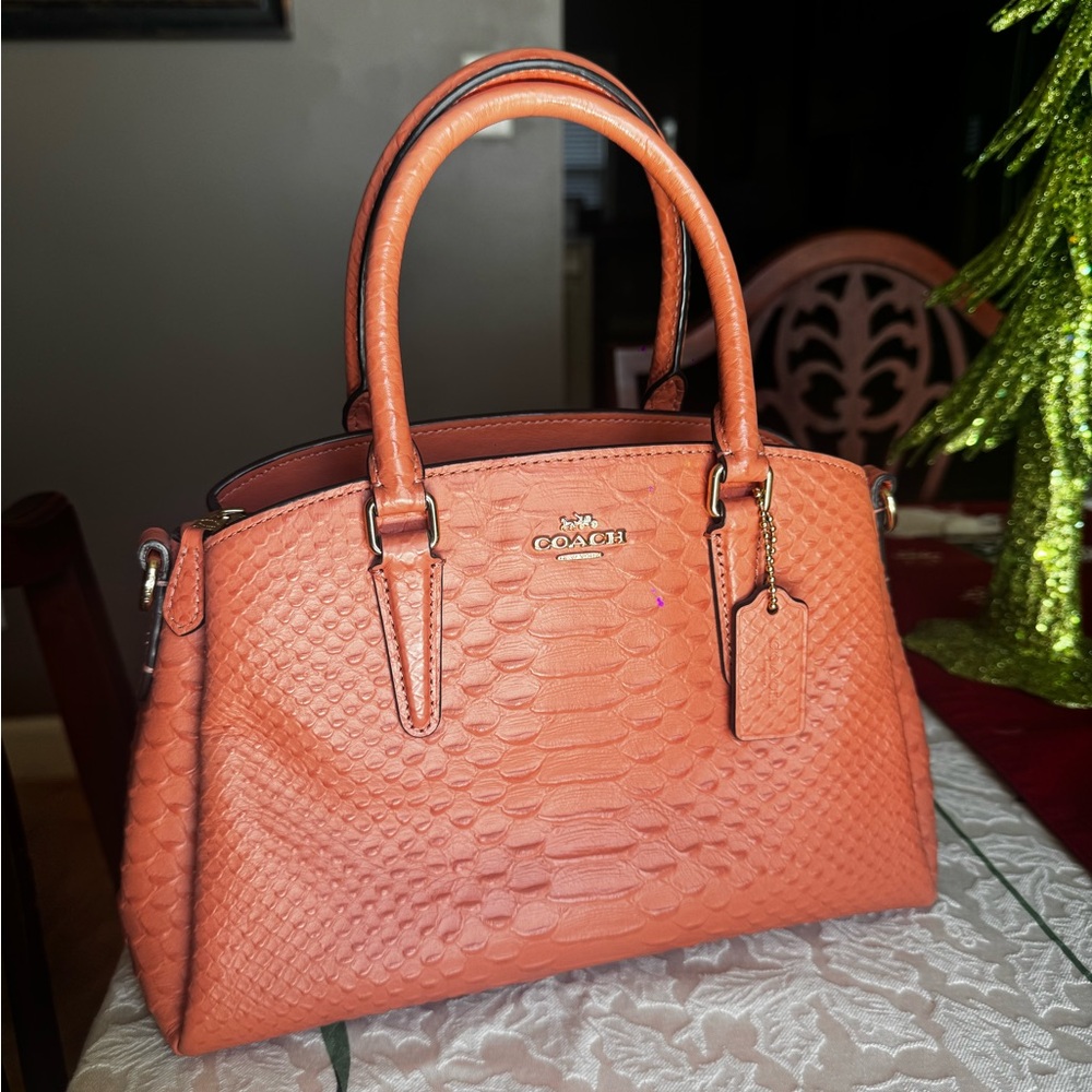 Coach Mini Sage Carryall
